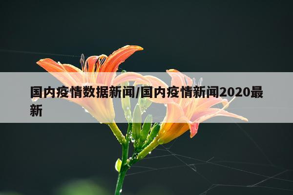 国内疫情数据新闻/国内疫情新闻2020最新