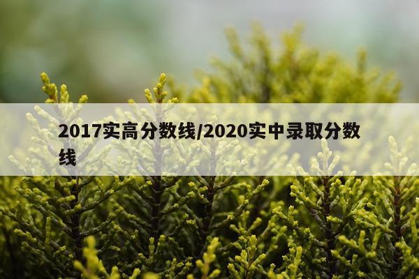 2017实高分数线/2020实中录取分数线