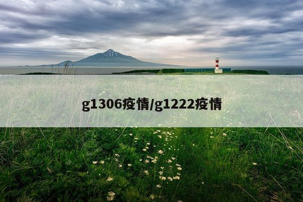 g1306疫情/g1222疫情