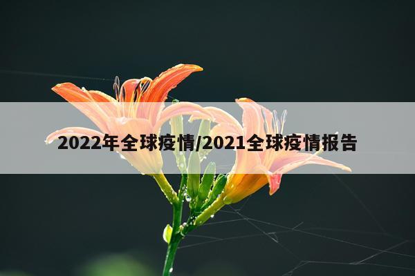 2022年全球疫情/2021全球疫情报告