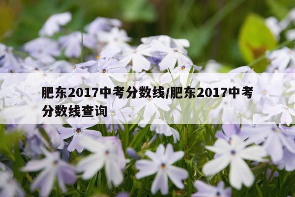 肥东2017中考分数线/肥东2017中考分数线查询