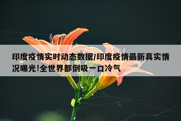 印度疫情实时动态数据/印度疫情最新真实情况曝光!全世界都倒吸一口冷气