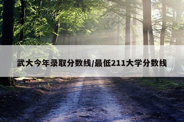 武大今年录取分数线/最低211大学分数线