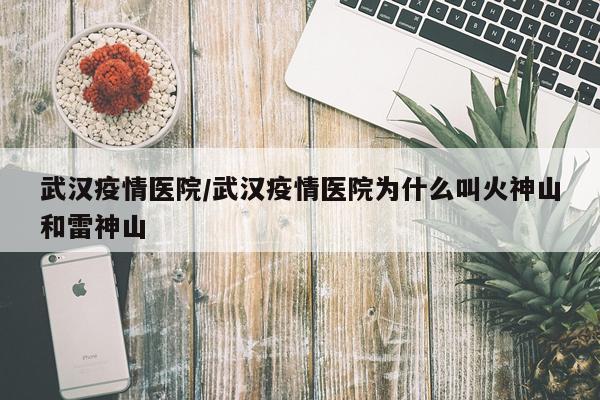 武汉疫情医院/武汉疫情医院为什么叫火神山和雷神山