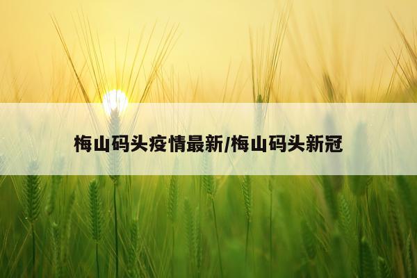 梅山码头疫情最新/梅山码头新冠