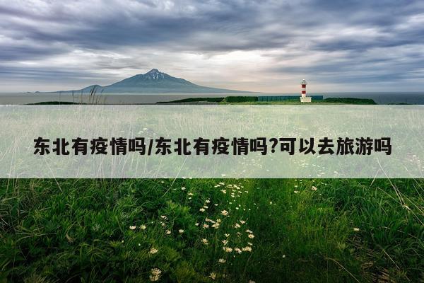 东北有疫情吗/东北有疫情吗?可以去旅游吗