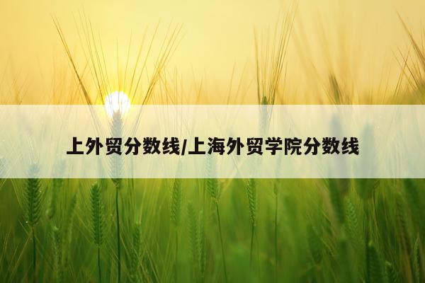 上外贸分数线/上海外贸学院分数线