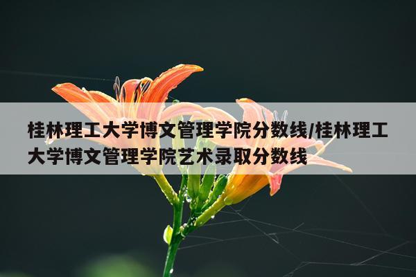 桂林理工大学博文管理学院分数线/桂林理工大学博文管理学院艺术录取分数线