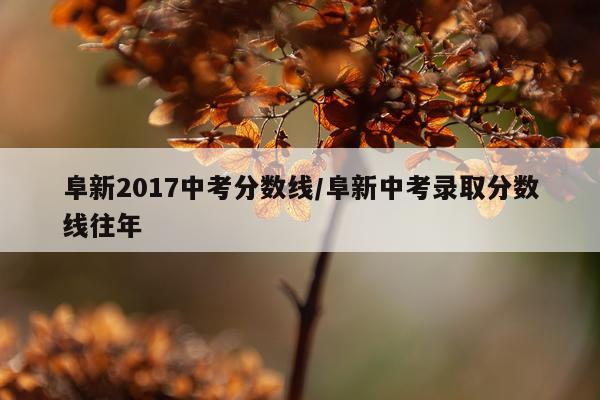 阜新2017中考分数线/阜新中考录取分数线往年