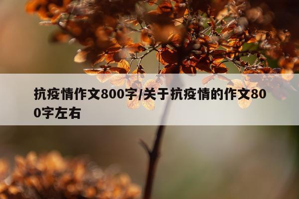 抗疫情作文800字/关于抗疫情的作文800字左右