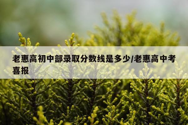 老惠高初中部录取分数线是多少/老惠高中考喜报