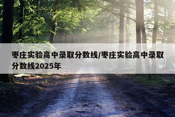 枣庄实验高中录取分数线/枣庄实验高中录取分数线2025年