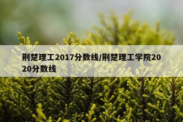 荆楚理工2017分数线/荆楚理工学院2020分数线