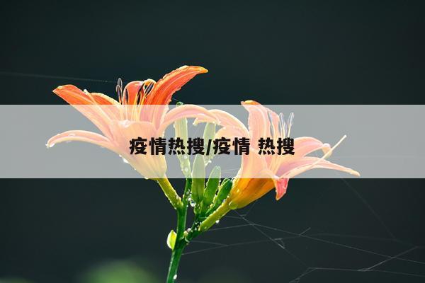 疫情热搜/疫情 热搜
