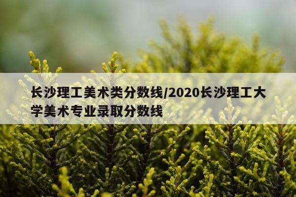 长沙理工美术类分数线/2020长沙理工大学美术专业录取分数线
