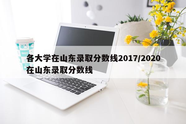 各大学在山东录取分数线2017/2020在山东录取分数线