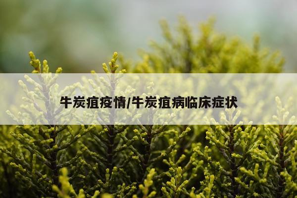牛炭疽疫情/牛炭疽病临床症状