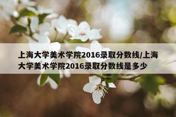 上海大学美术学院2016录取分数线/上海大学美术学院2016录取分数线是多少