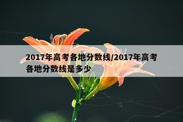 2017年高考各地分数线/2017年高考各地分数线是多少