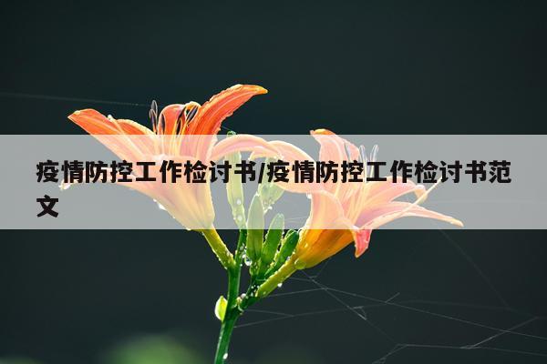 疫情防控工作检讨书/疫情防控工作检讨书范文