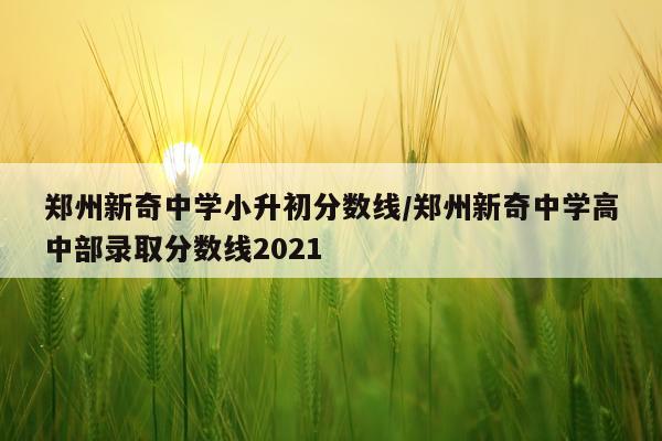 郑州新奇中学小升初分数线/郑州新奇中学高中部录取分数线2021