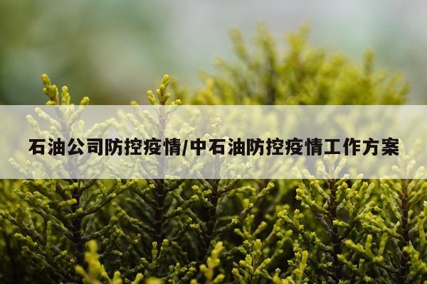 石油公司防控疫情/中石油防控疫情工作方案