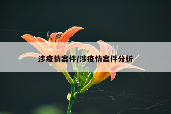 涉疫情案件/涉疫情案件分析