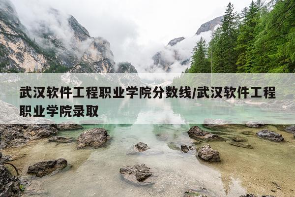 武汉软件工程职业学院分数线/武汉软件工程职业学院录取