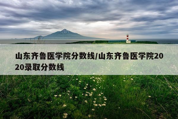 山东齐鲁医学院分数线/山东齐鲁医学院2020录取分数线