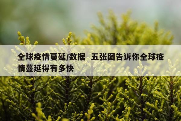 全球疫情蔓延/数据  五张图告诉你全球疫情蔓延得有多快