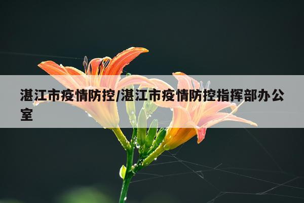湛江市疫情防控/湛江市疫情防控指挥部办公室