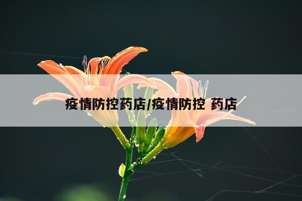 疫情防控药店/疫情防控 药店