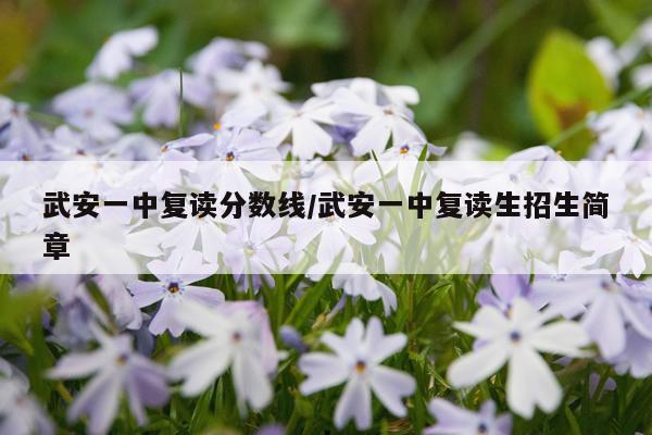 武安一中复读分数线/武安一中复读生招生简章