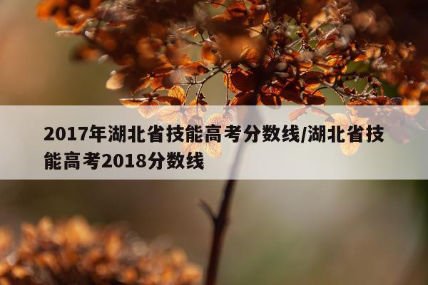 2017年湖北省技能高考分数线/湖北省技能高考2018分数线