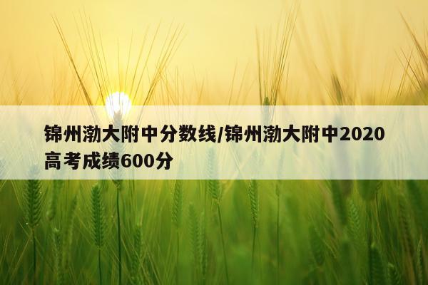 锦州渤大附中分数线/锦州渤大附中2020高考成绩600分