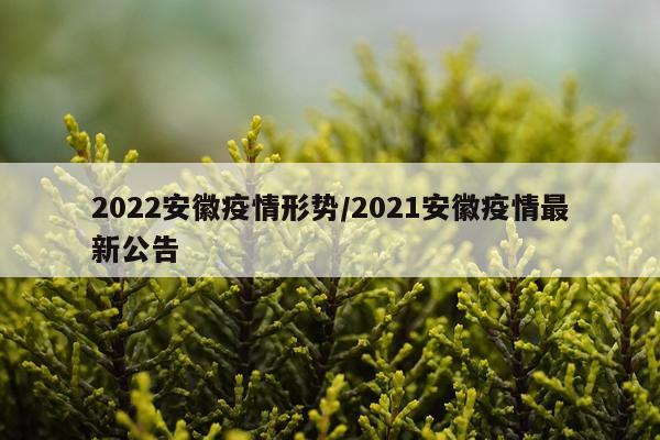 2022安徽疫情形势/2021安徽疫情最新公告