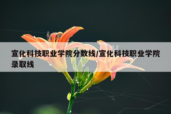 宣化科技职业学院分数线/宣化科技职业学院录取线