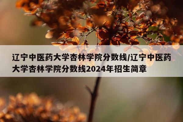 辽宁中医药大学杏林学院分数线/辽宁中医药大学杏林学院分数线2024年招生简章