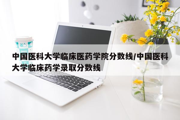 中国医科大学临床医药学院分数线/中国医科大学临床药学录取分数线