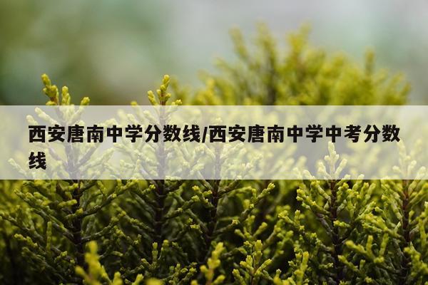 西安唐南中学分数线/西安唐南中学中考分数线