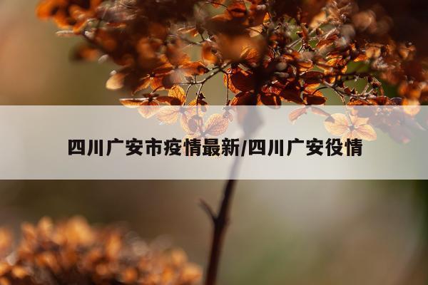 四川广安市疫情最新/四川广安役情