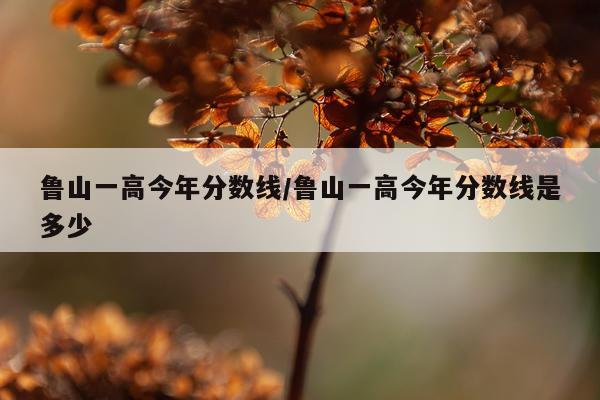 鲁山一高今年分数线/鲁山一高今年分数线是多少