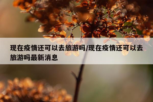 现在疫情还可以去旅游吗/现在疫情还可以去旅游吗最新消息