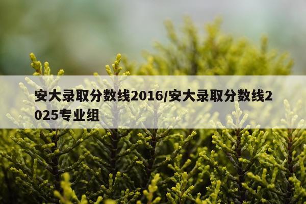 安大录取分数线2016/安大录取分数线2025专业组