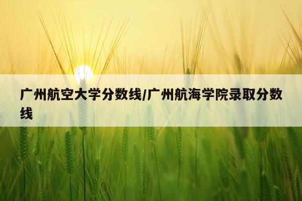 广州航空大学分数线/广州航海学院录取分数线