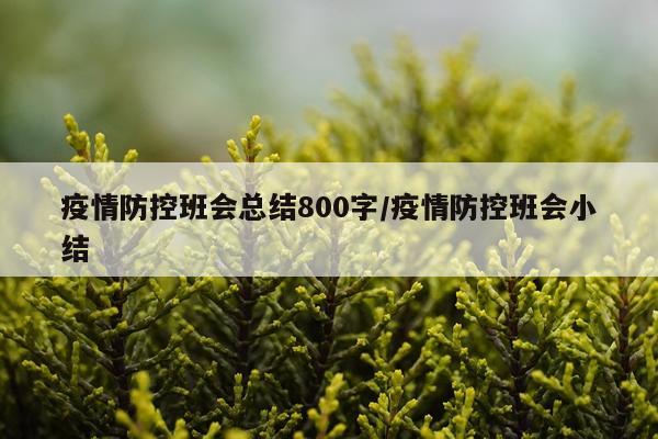 疫情防控班会总结800字/疫情防控班会小结