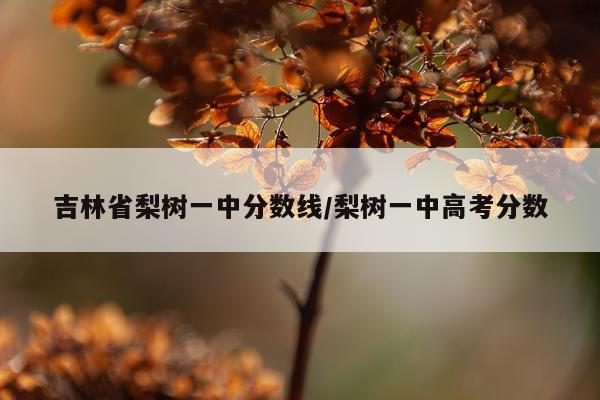 吉林省梨树一中分数线/梨树一中高考分数