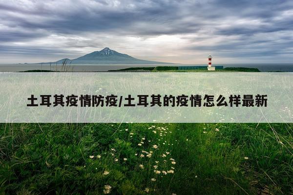 土耳其疫情防疫/土耳其的疫情怎么样最新
