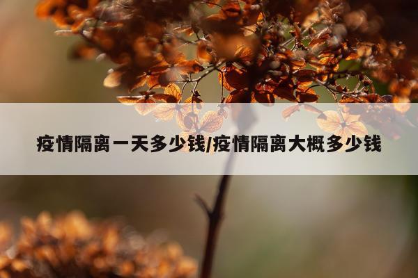 疫情隔离一天多少钱/疫情隔离大概多少钱