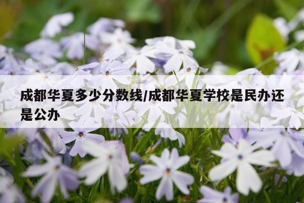 成都华夏多少分数线/成都华夏学校是民办还是公办